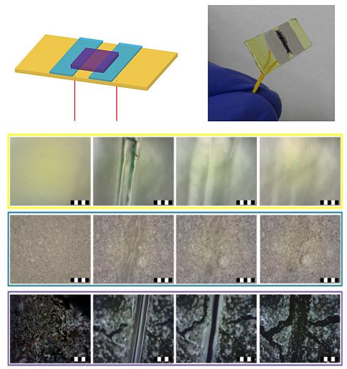 משמאל לימין בכיוון השעון: סכימת נחיישן, תמונת החיישן, והריפוי של השכבות השונות 10 דקות לאחר פגיעה