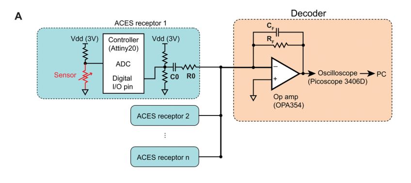 ארכיטקטורת ACES: מספר רב של חיישני מגע (בכחול) מחוברים אל הגלאי (כתום) במוליך יחיד